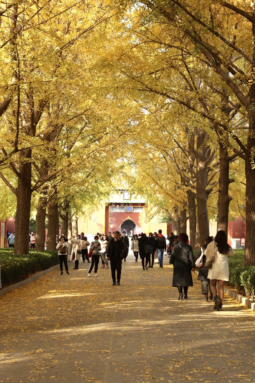 Lama Temple